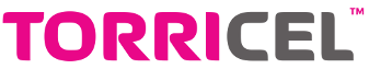 Torricel Ltd - TorriWallet Autonomous Transaction Signing Prototype